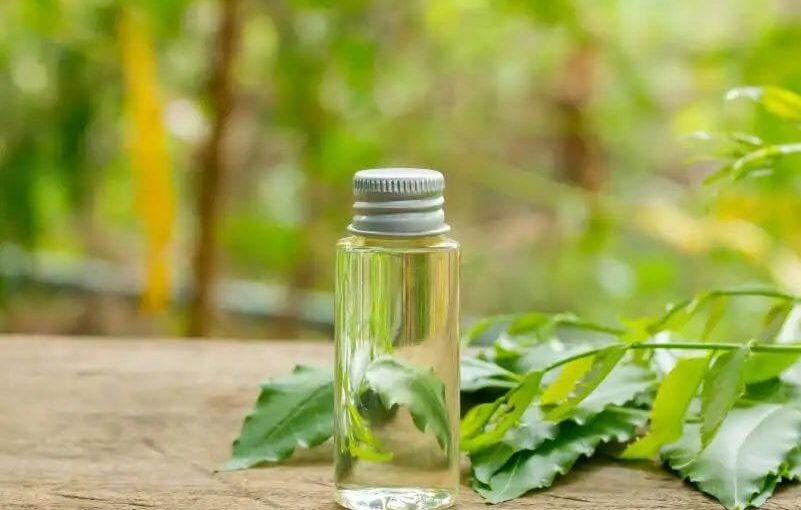 Step-by-Step Tutorial: Applying Neem Oil to Your Garden Plants