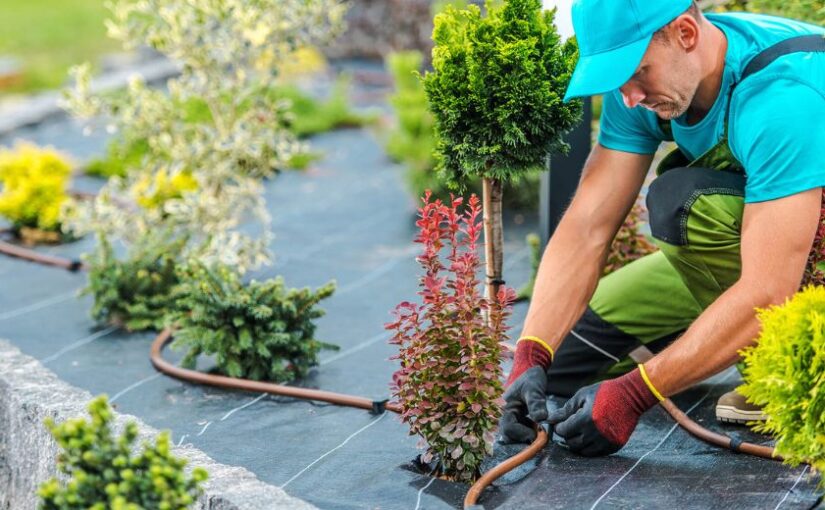 How to Start a Landscaping Business: A Comprehensive Guide